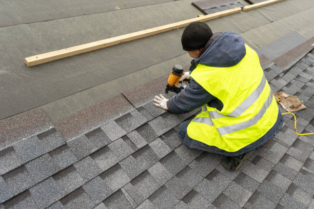 Best Roof Gutter Cleaning  in Laguna Park, TX
