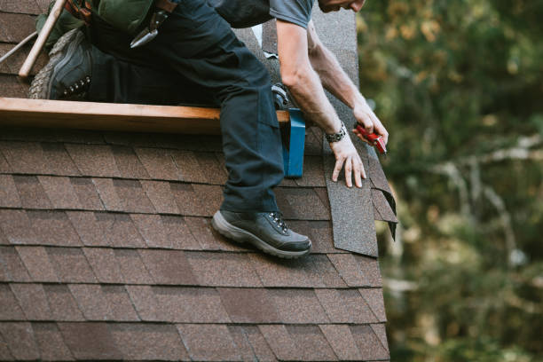 Professional Roofing Contractor in Laguna Park, TX