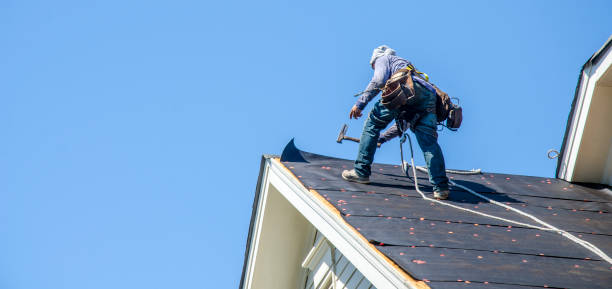 Best Local Roofing Companies  in Laguna Park, TX